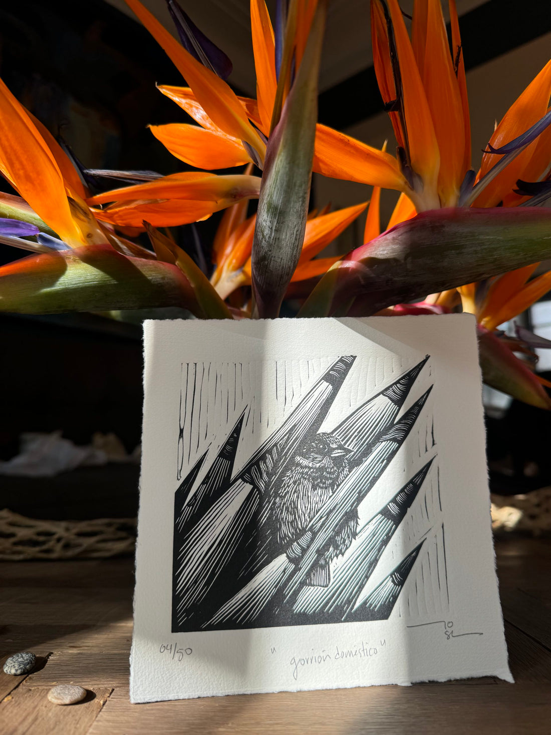 Aves norteñas (set de12 aves)