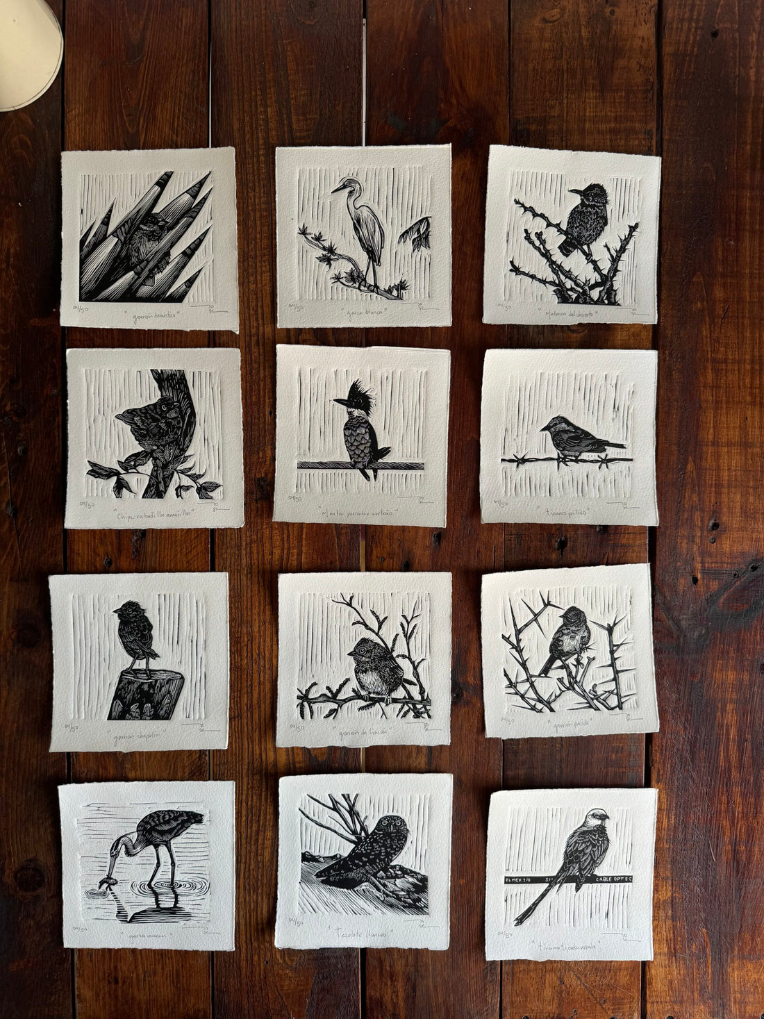 Aves norteñas (set de12 aves)