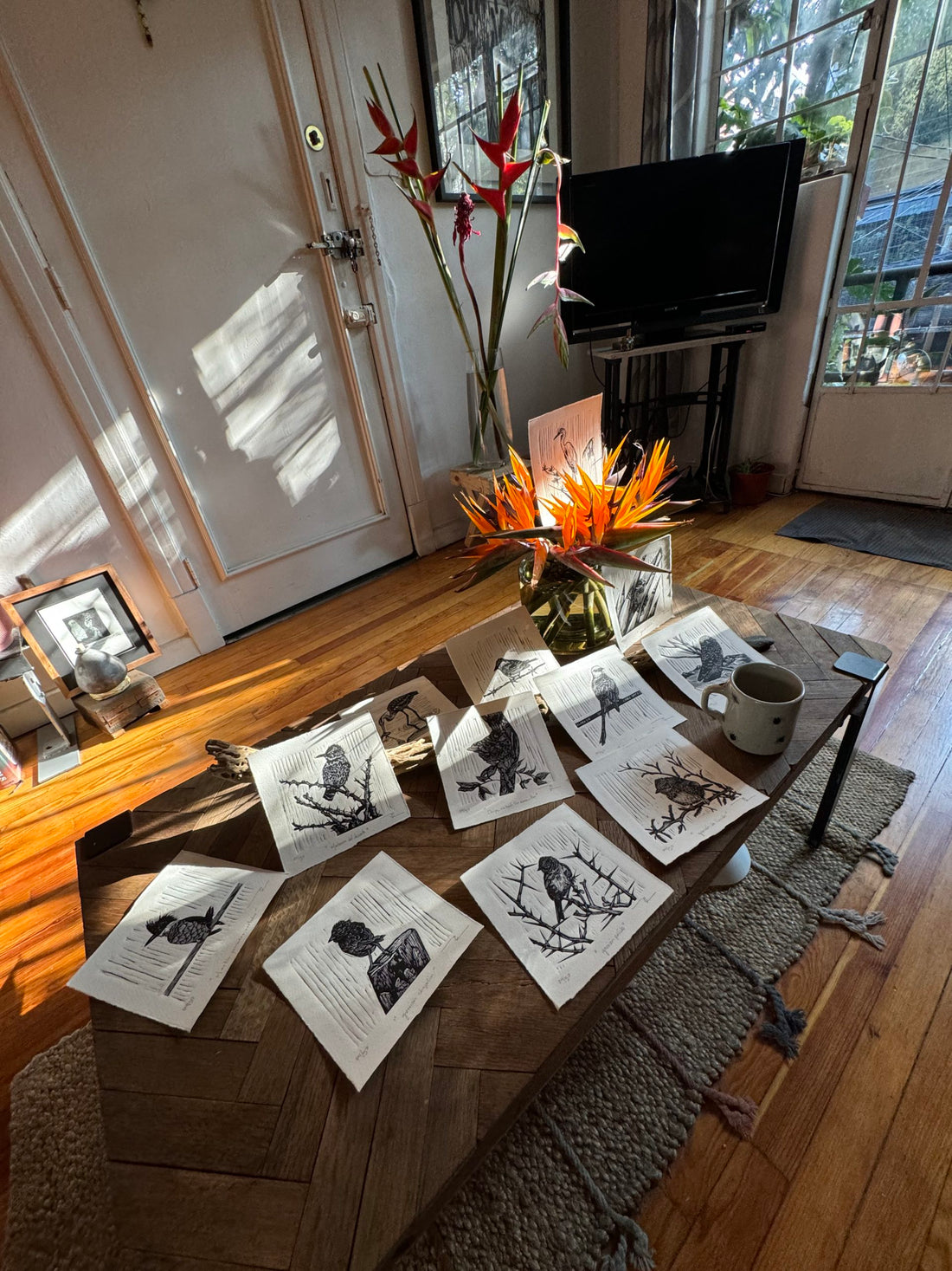 Aves norteñas (set de12 aves)